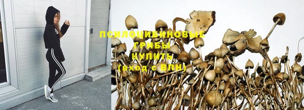 jwh Богородск