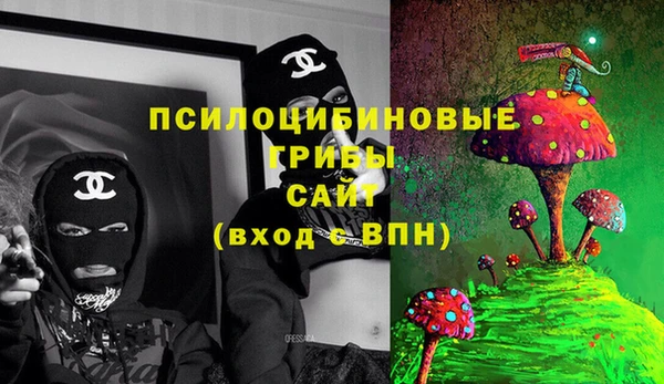 сатива Богданович