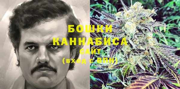 сатива Богданович