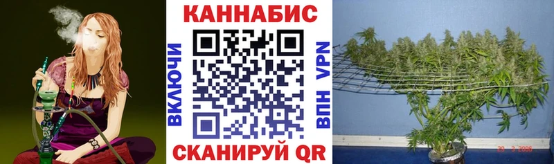 Канабис THC 21%  Пионерский 